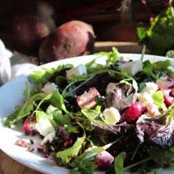 Roasted Beetroot, Lentil & Feta Salad with Lemon & Poppy Seed Dressing - Charlie & Ivy's