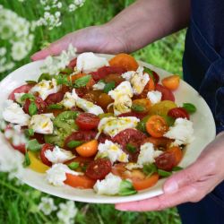 Charlie & Ivy's Simple Tomato & Mozzarella Salad in dish in hands in outdoor setting

