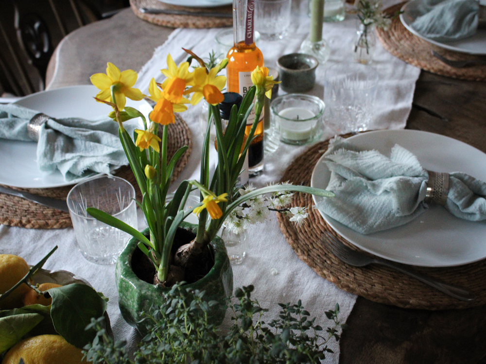 Spring bulbs in a planter on a dining table