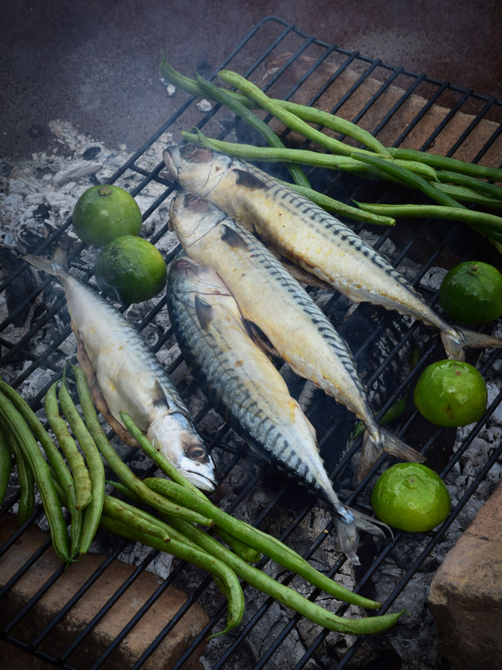Cooking on a Fire Pit