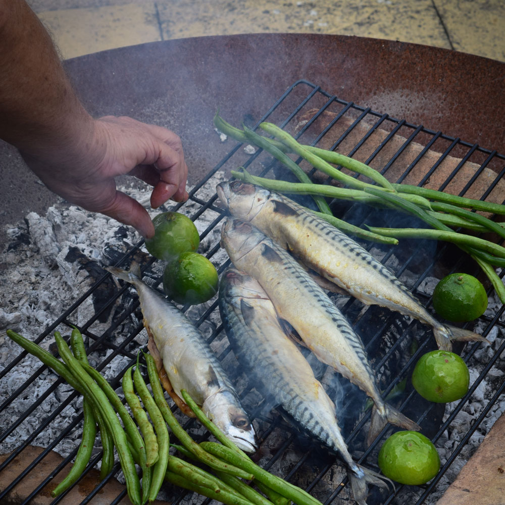 Cooking Mackerel on a Fire Pit Cooking Mackerel on a Fire Pit