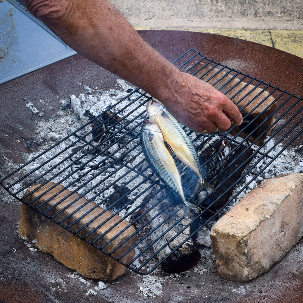 Fish Cooking on a Firepit Fish