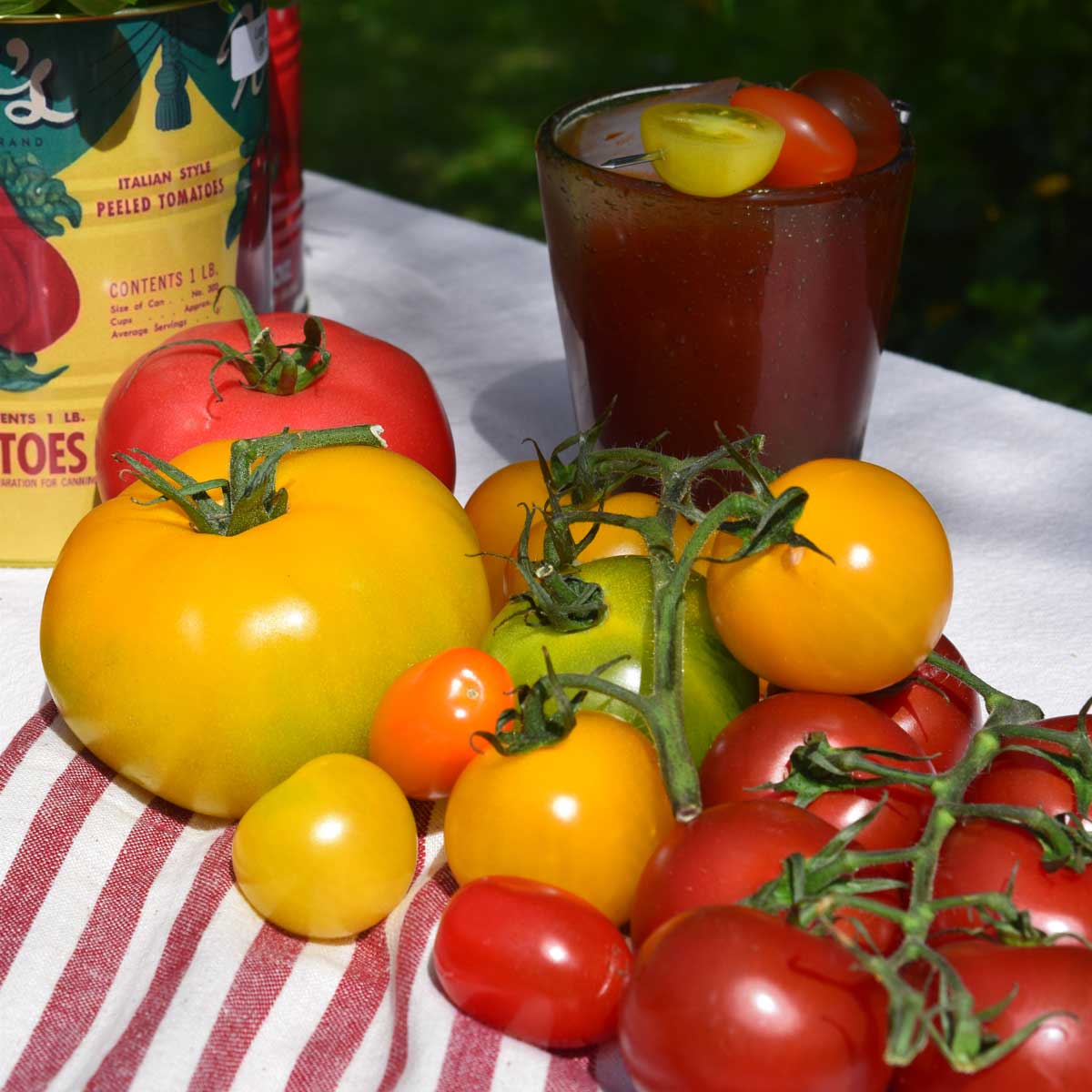Glass of cocktail and tomatoes
