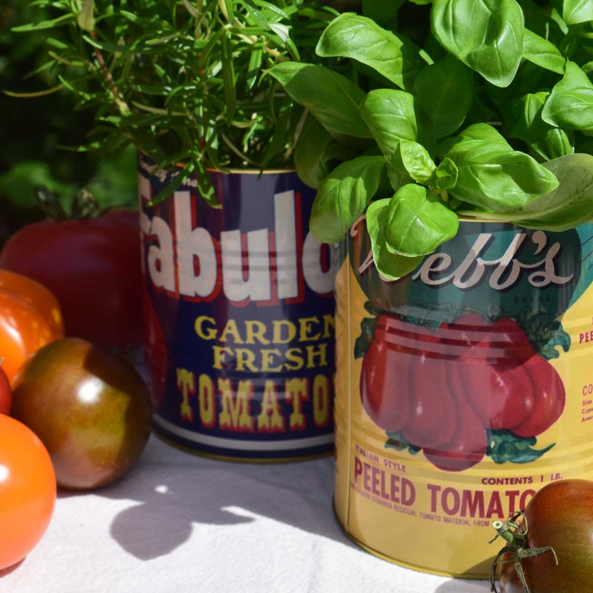 Tomato tins