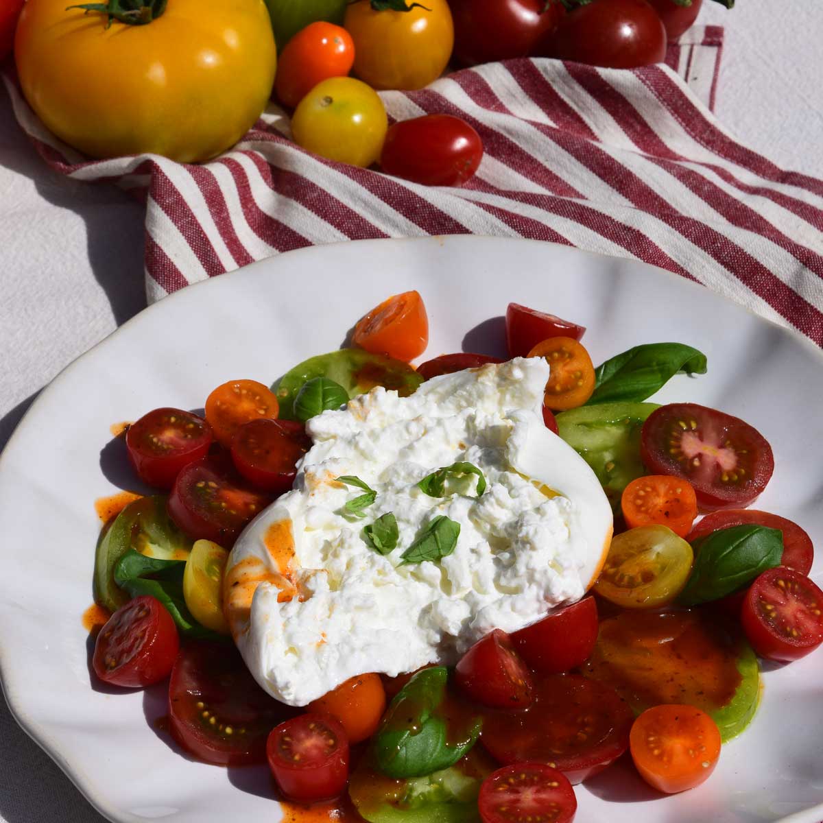 Tomatoes with burrata and dressing