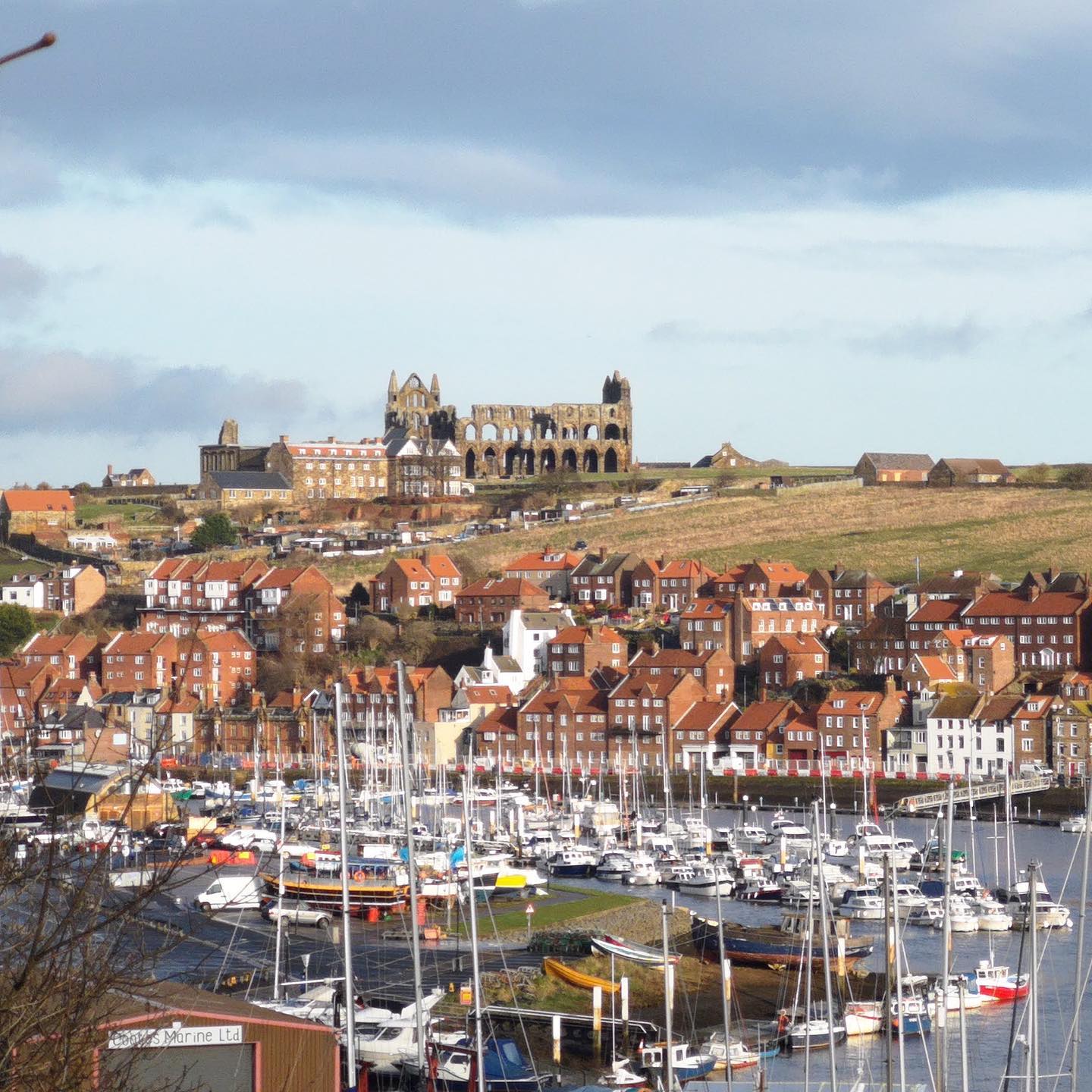 Whitby Abbey and Harbour Views