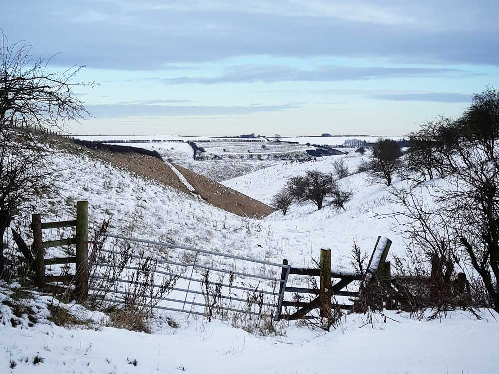 Snow on the farm