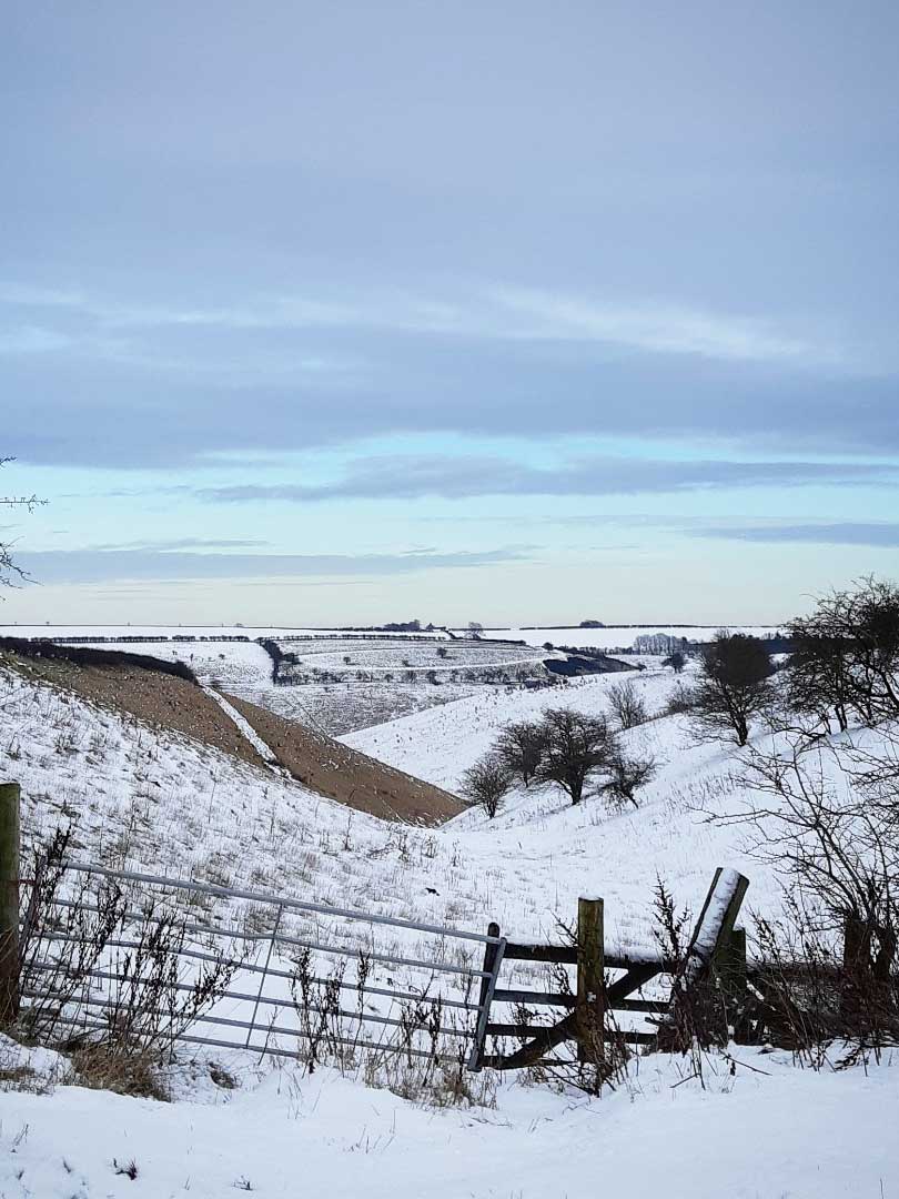 Snow on the farm