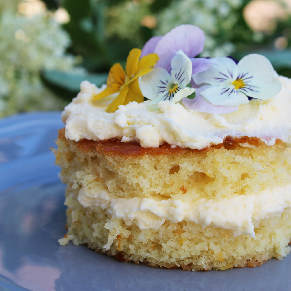 Orange & Elderflower Sponges